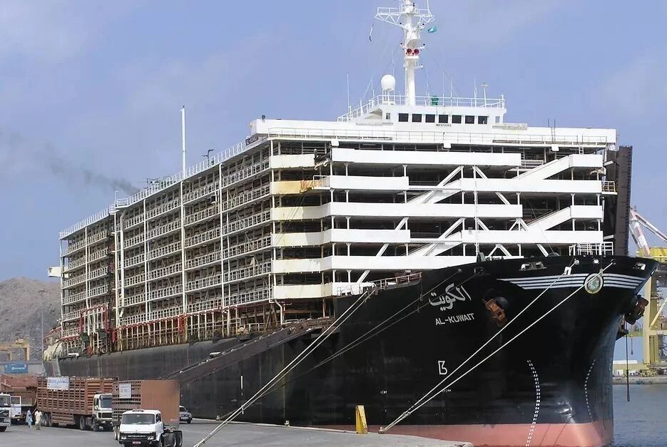 貨代必看的大科普！