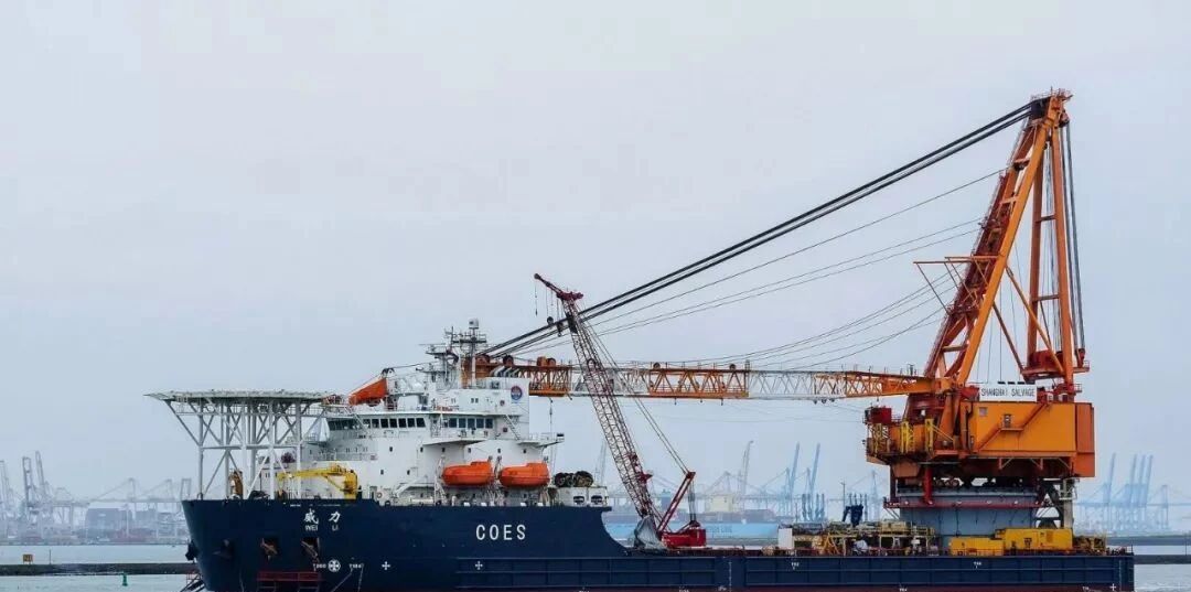 貨代必看的大科普！