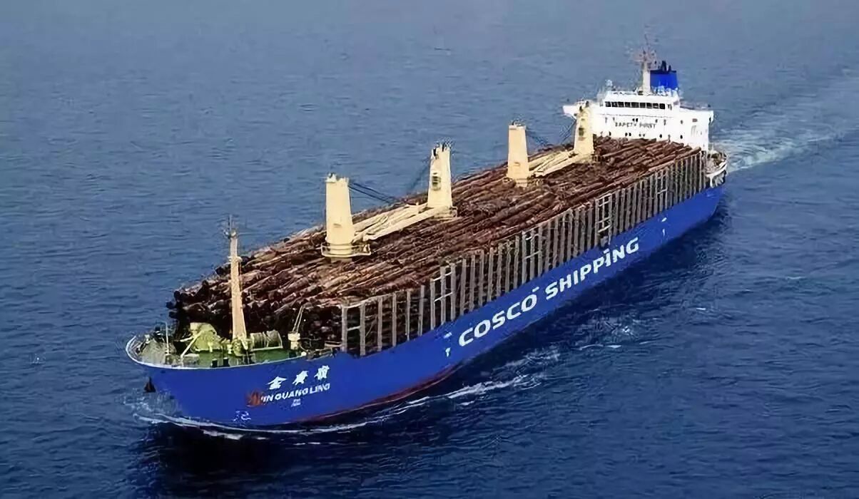 貨代必看的大科普！